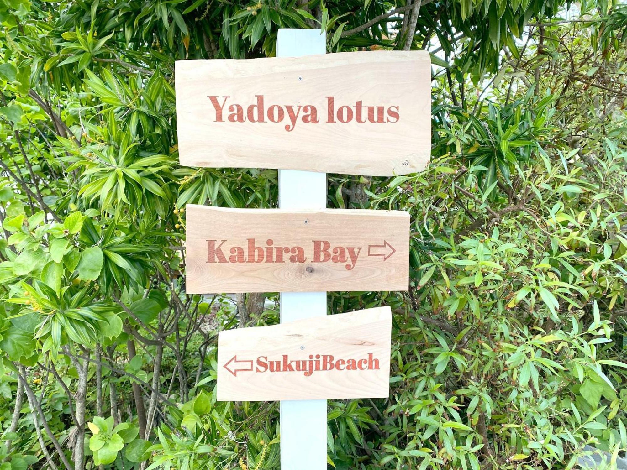 Yadoya Lotus - Vacation Stay 34318V Kabira Exterior foto